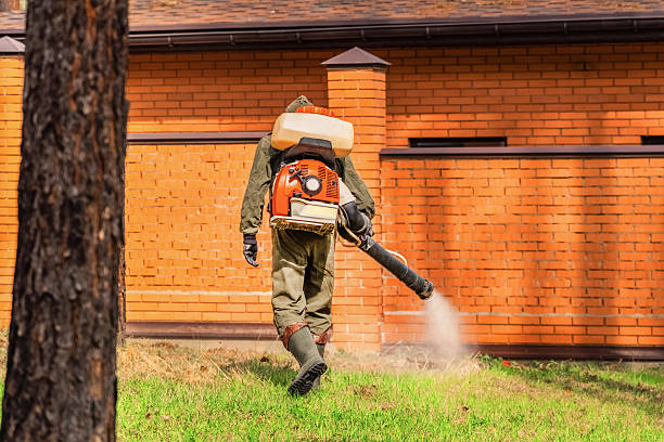 Top rated local Mosquito Control specialists in Maple Heights-Lake Desire, WA